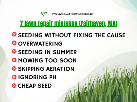 How to fix a patchy lawn in Fairhaven, MA (seeding, soil, and timing)