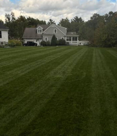 WhatsApp Image 2025-11-15 at 15_edited.jpg