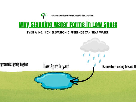 How to fix standing water in your South Coast Massachusetts yard