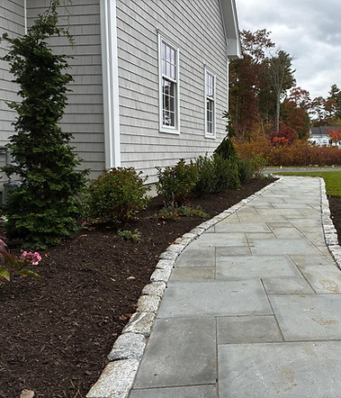 plant_installation_landscape_design_pathway_ornamental_grasses_japanese_maple_mattapoisett