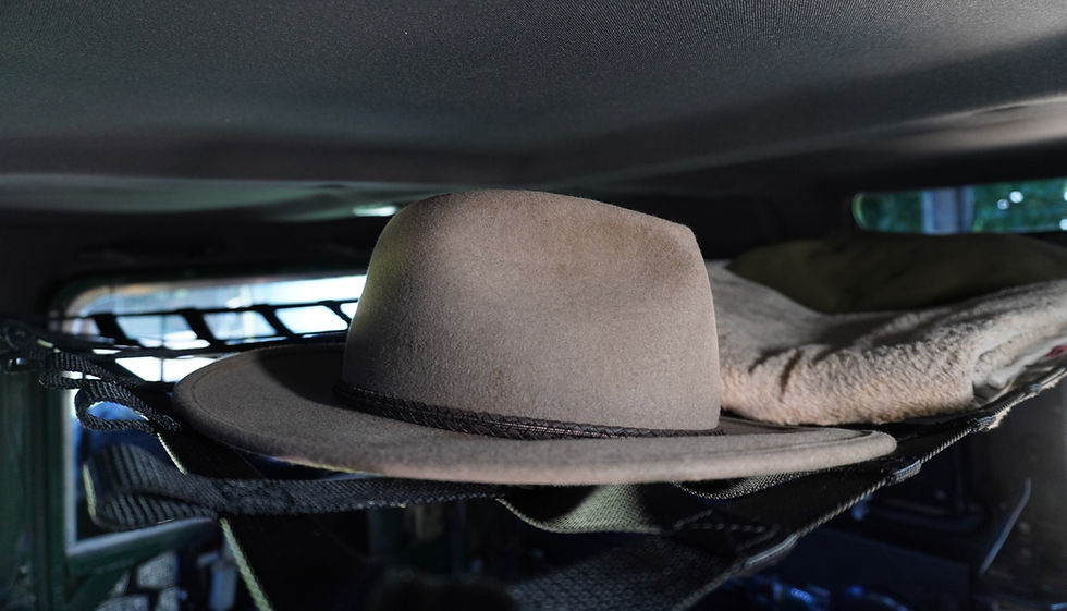 Thumbnail: Defender 110 net