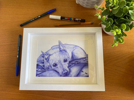 perro chihuahua
