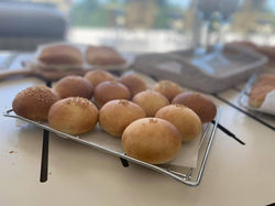 223060709_1914730742024405_1593515032507754838_n