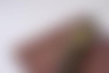 卒業証書・卒業アルバムを廃棄して断捨離：実家整理・終活にも活きる処分方法を解説