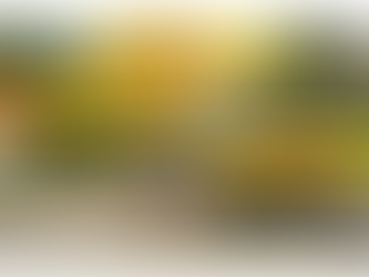 プロから教わった！長距離走・マラソンが速くなるにはこの３つをやれ！