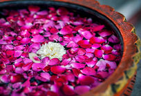 Ayurveda’s 3 Pillars of Health