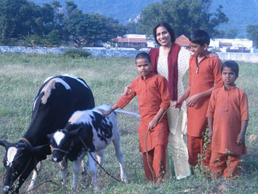 Lineage Story - The Divine All Around Us