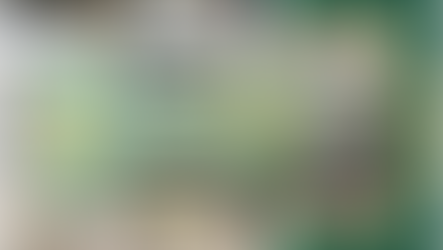 ECTC 2026 | Nokia Bell Labs | Thin-Film Lithium Niobate Hybrid Integration for Co-packaged Optics
