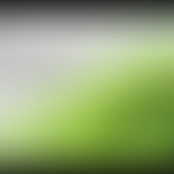 NVIDIA Presentation at OFC2025: Large Scale AI Systems With Photonic Connectivity