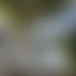 ECOC 2025 The 51st European Conference on Optical Communication 參展心得總整理