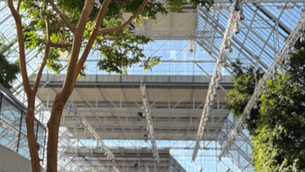 ECOC 2025 (51st European Conference on Optical Communication): Key Takeaways