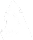 GET BIT white.png