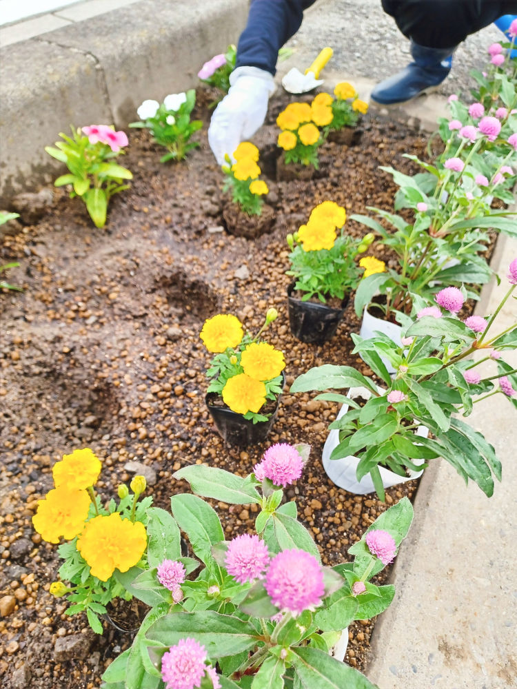 国道沿い花壇完成