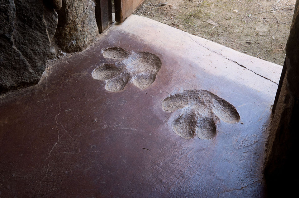 2016_03_HH_El Karama-146.jpg