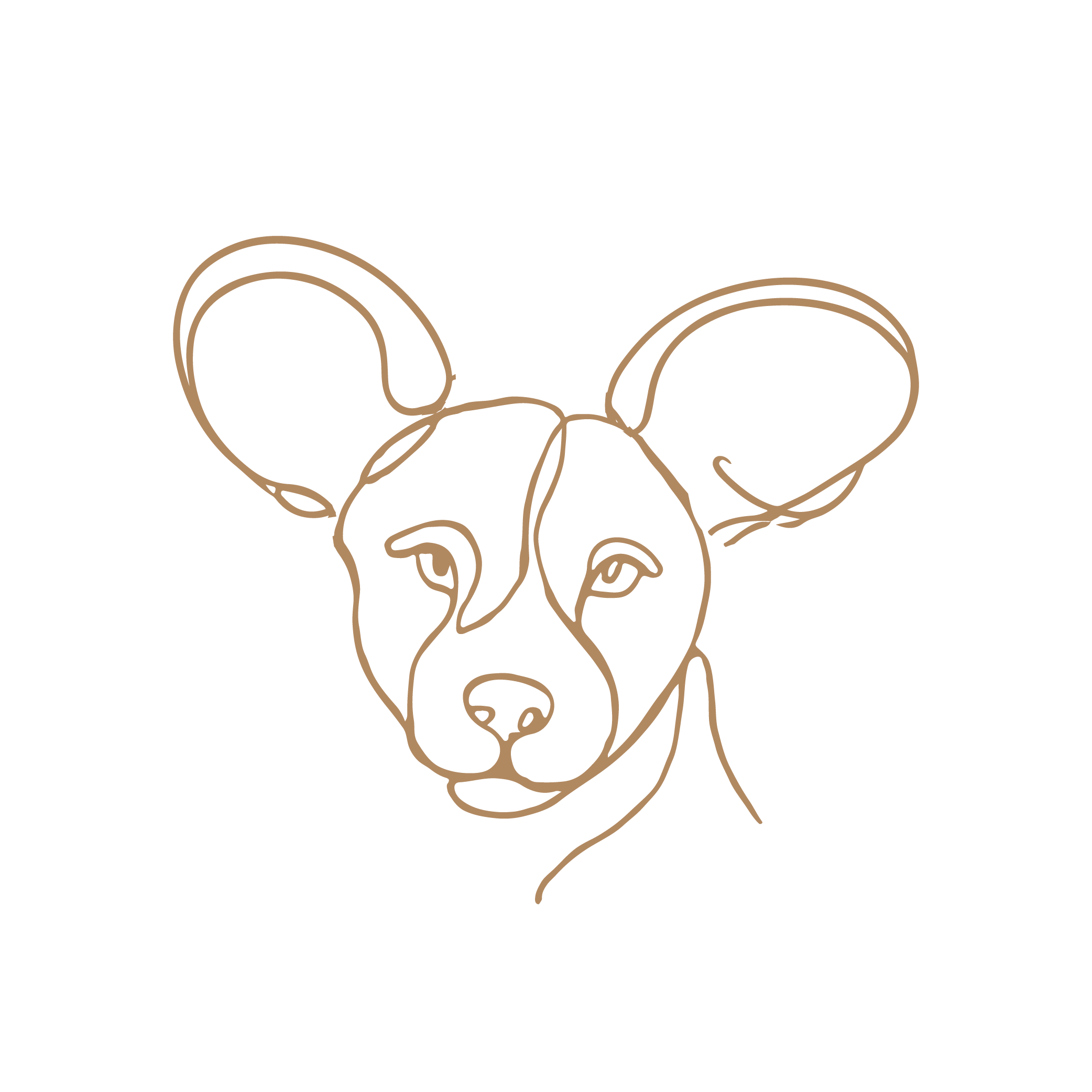 Wild Dog Face.png
