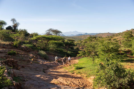 Horse riding safaris in Kenya