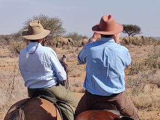 Riding safaris across Laikipia, Kenya, from Rocky Hollow, with Charlie and Mouse McConnell