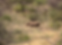 Screenshot 2026-03-03 at 12.55.19.png