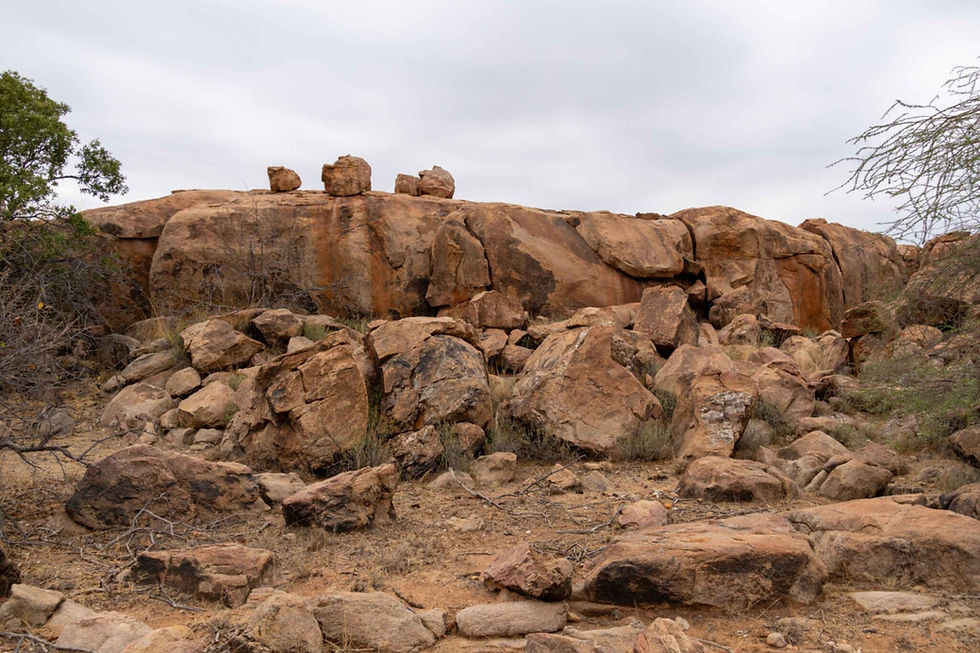Rock art visit.jpg