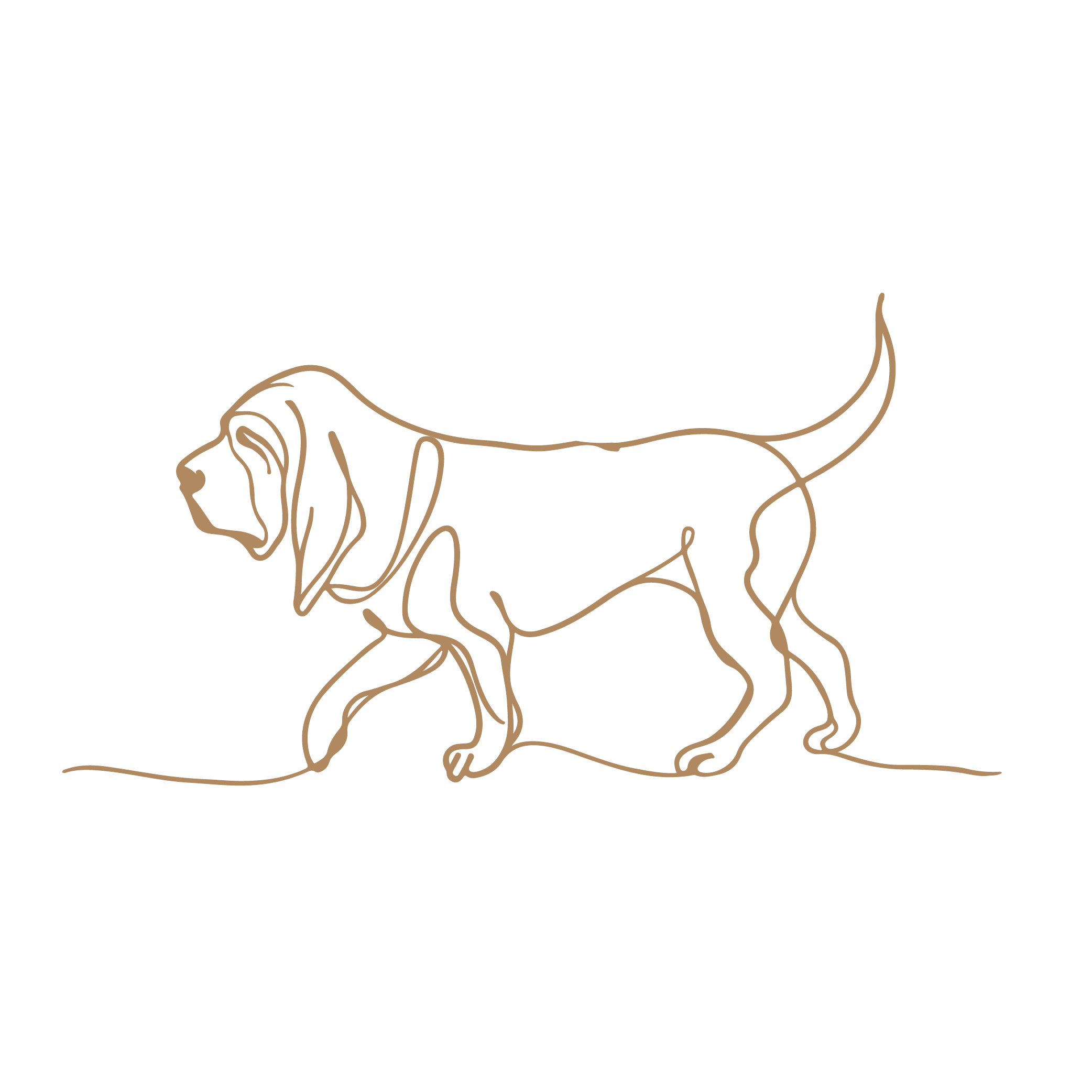 Conservation tech and k9-27.png