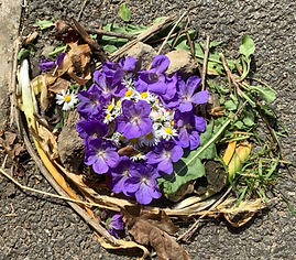 environmental art2.png