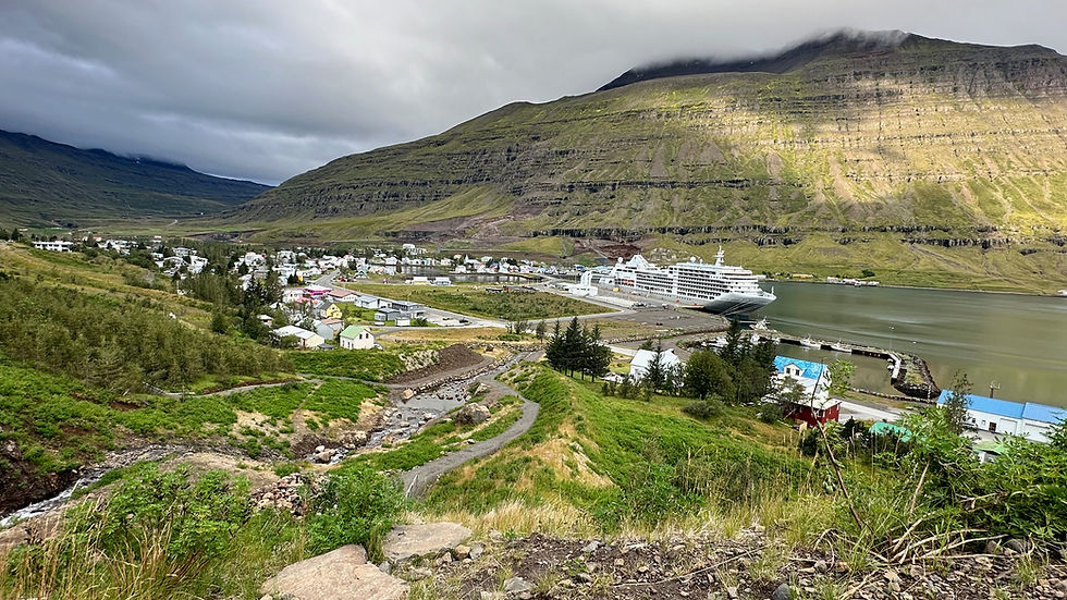 Luxury cruise ship docked in a small Icelandic fjord town surrounded by green mountains and dramatic clouds.