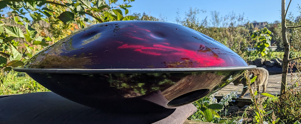 PXL_20241009_080653321_edited