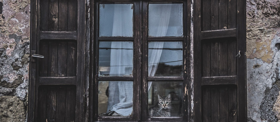 Comprehending Life through the Window