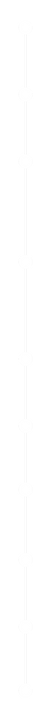 Sleek white vertical line as a separator
