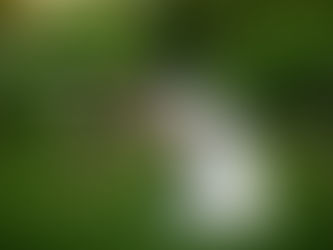 Introducing Mr and Mrs White {Winehaven Chisago City MN}