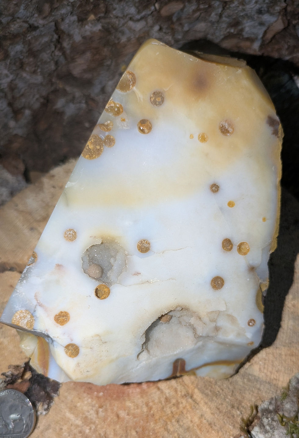 Thumbnail: Polka Dot Agate Display