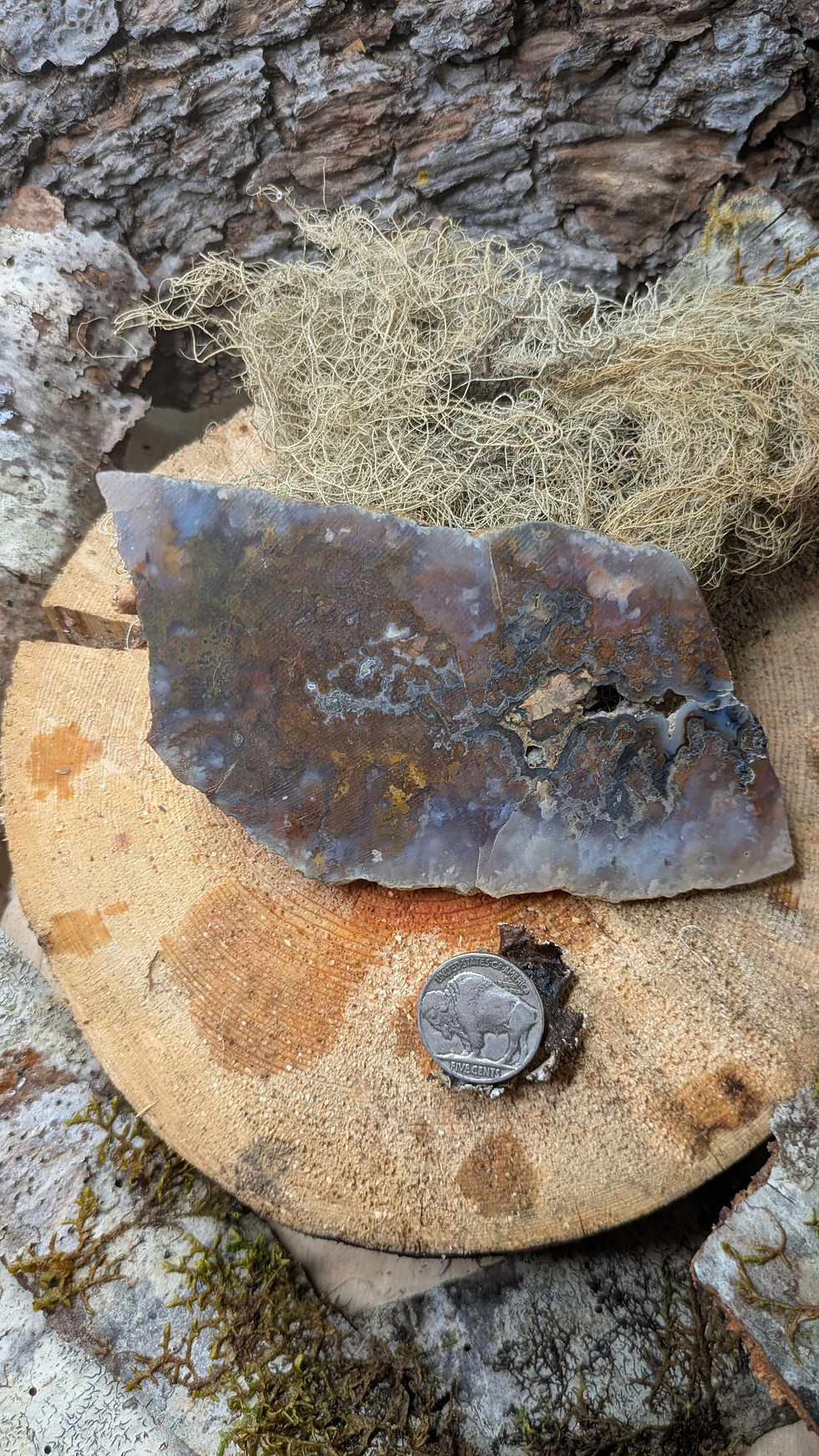 Thumbnail: Mossy Plume Agate Slab