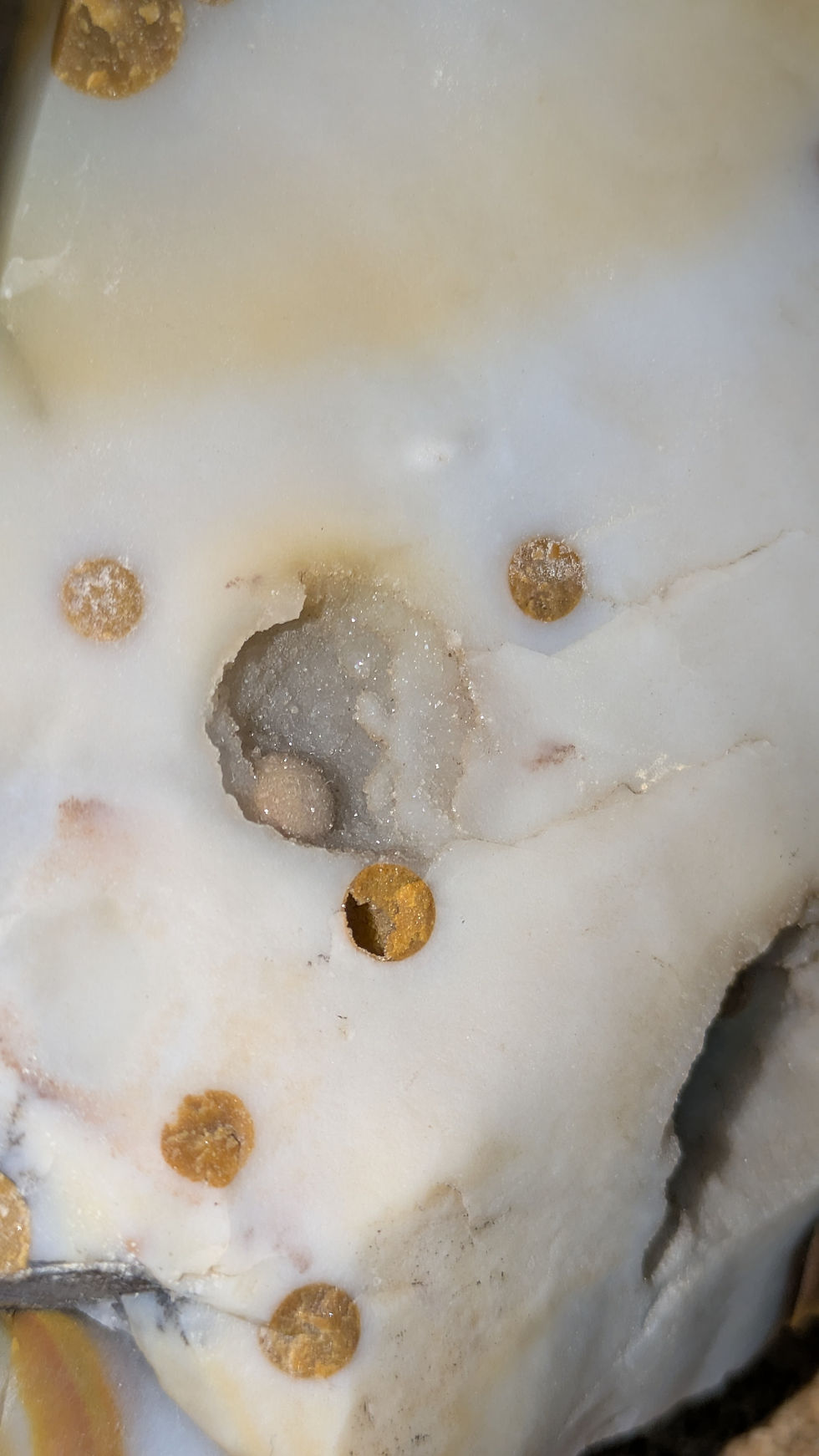 Thumbnail: Polka Dot Agate Display