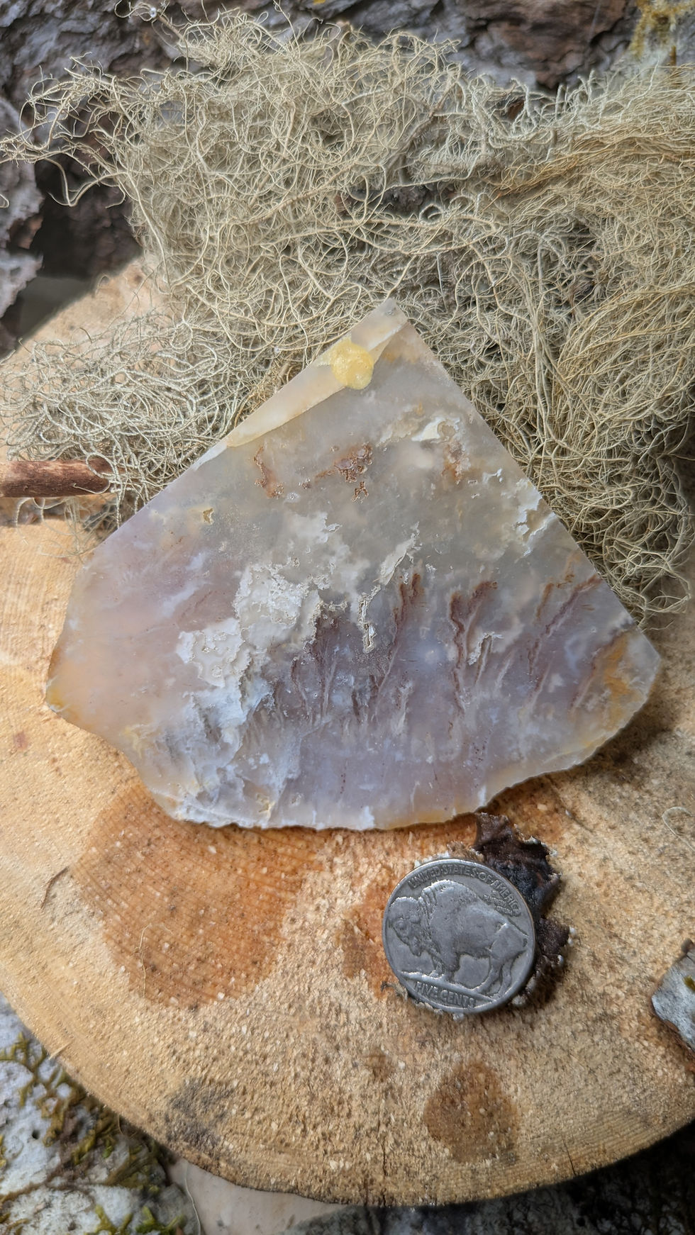 Thumbnail: Graveyard Point Plume Agate