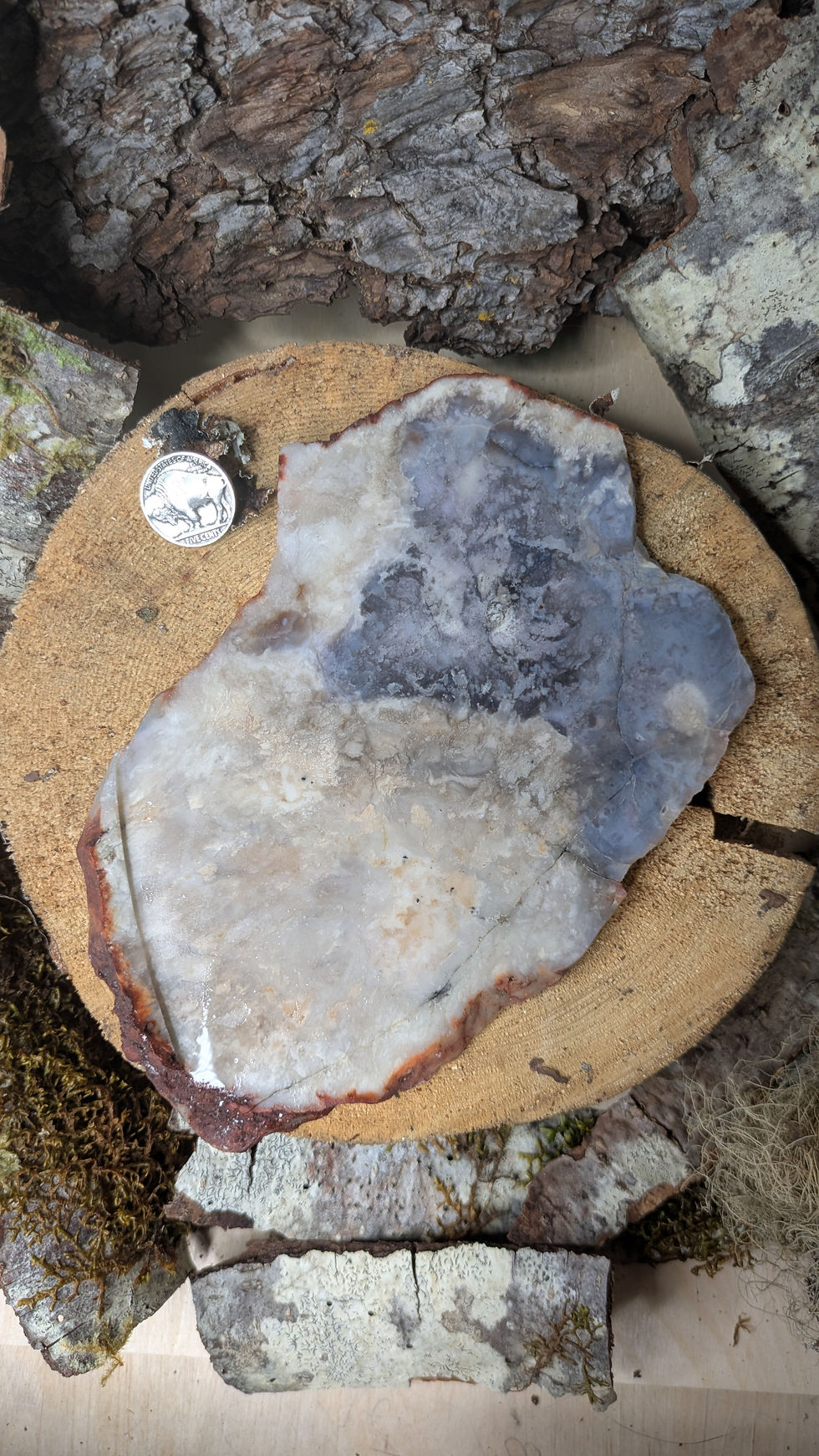 Thumbnail: Purple Cloud Agate Slab #8