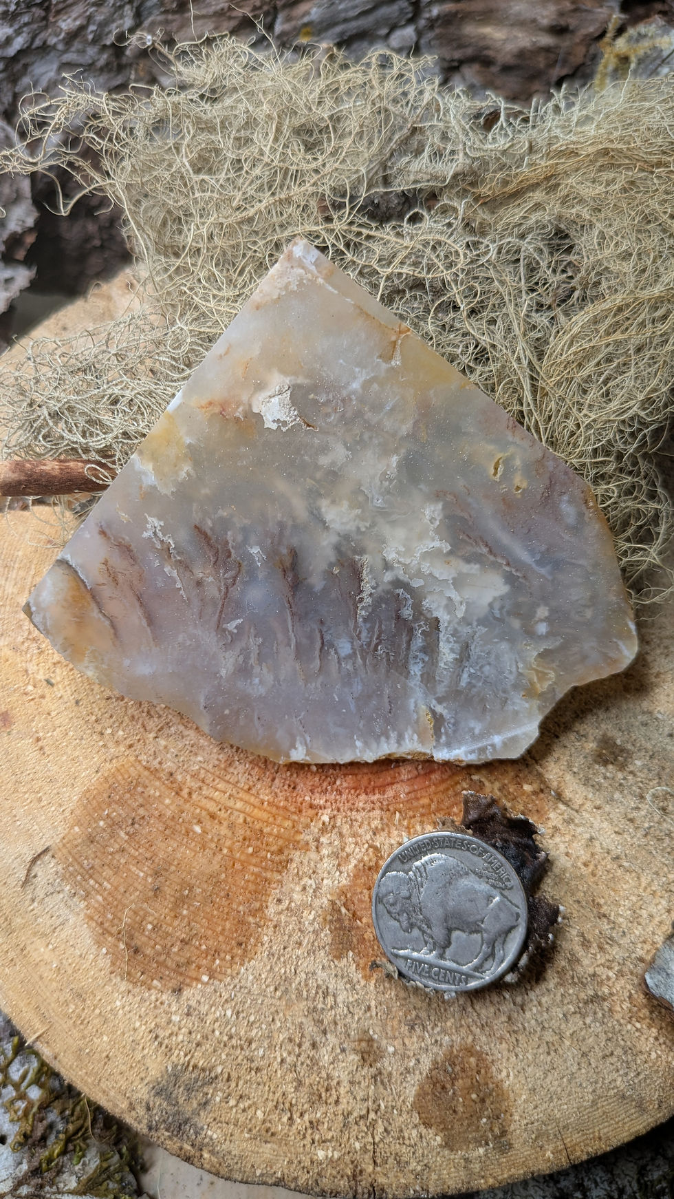 Thumbnail: Graveyard Point Plume Agate