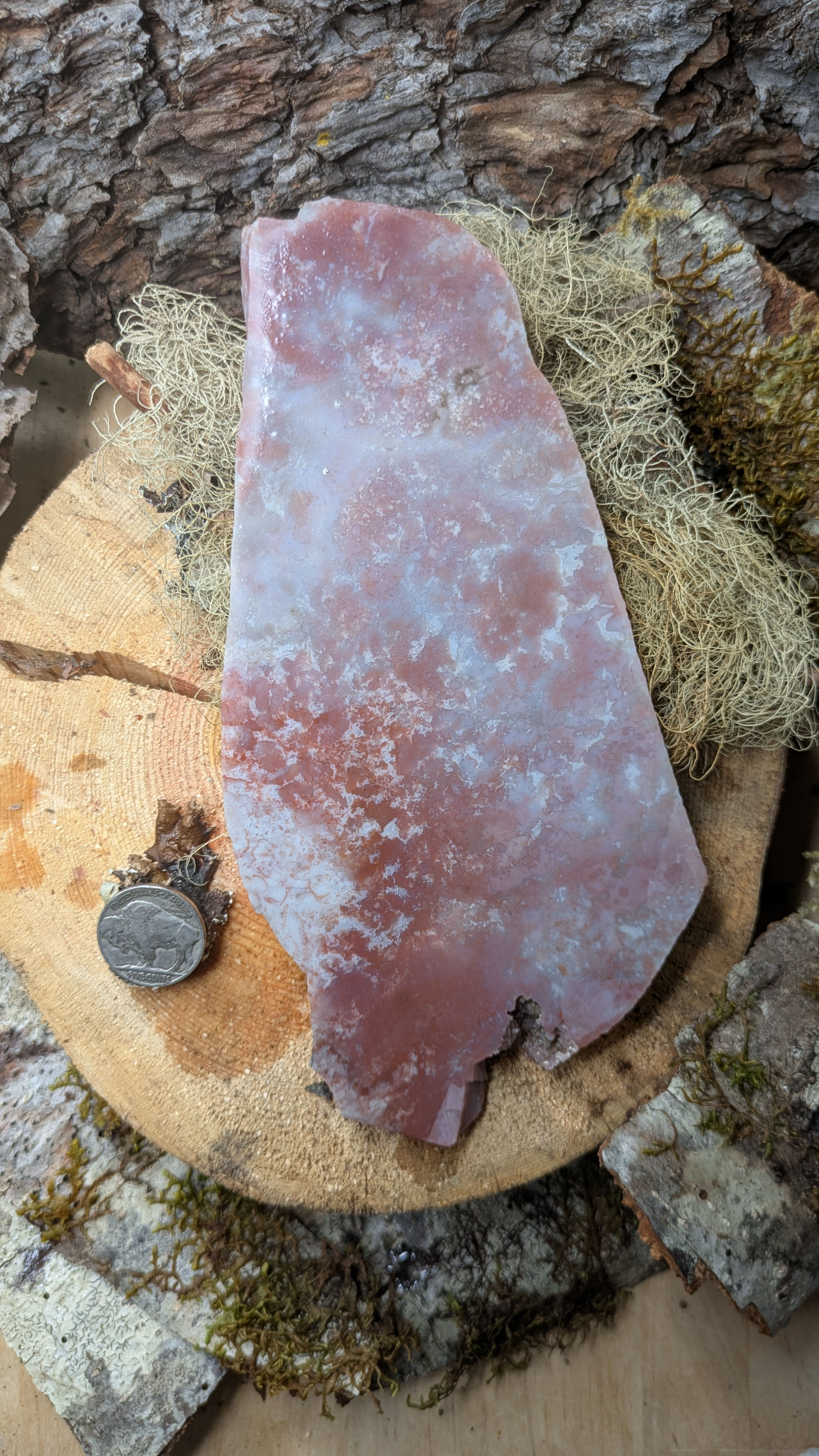 Unknown Red White Splash Agate 