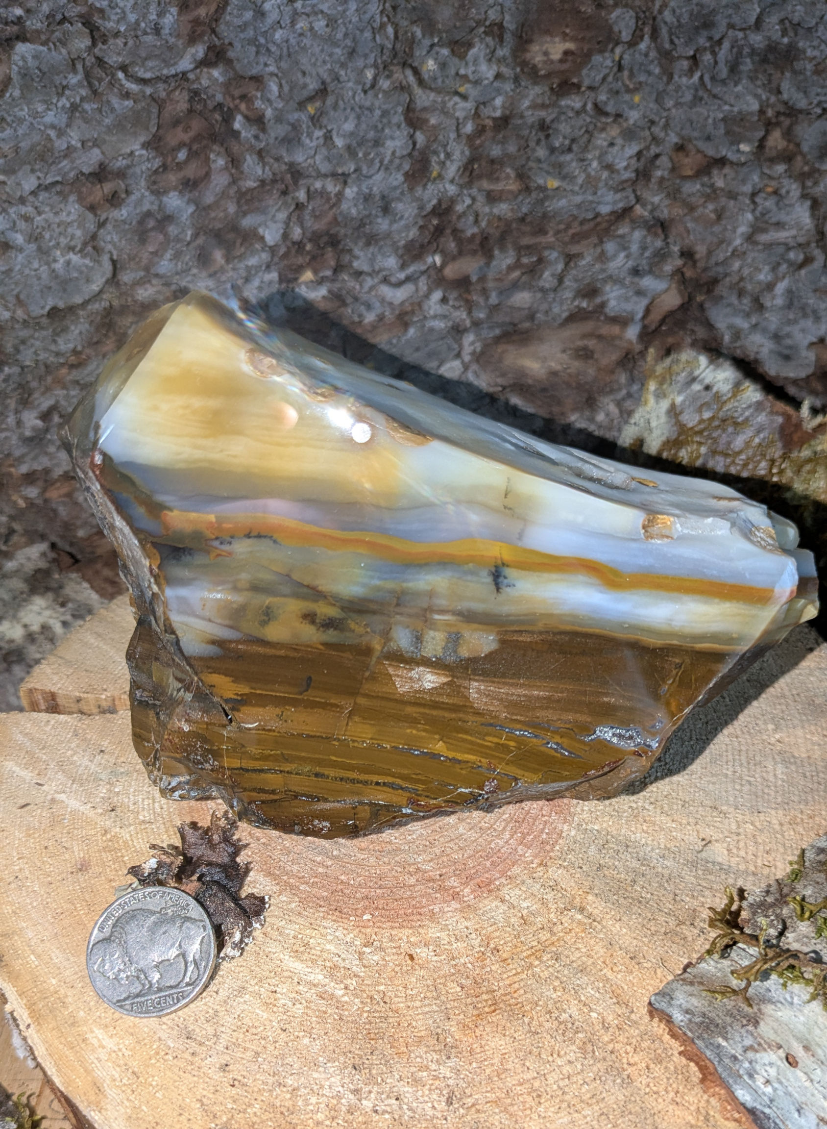 Polka Dot Agate Display