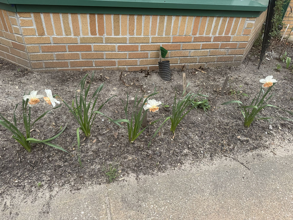 Kent Garden Club Helps Clients Usher in Spring!