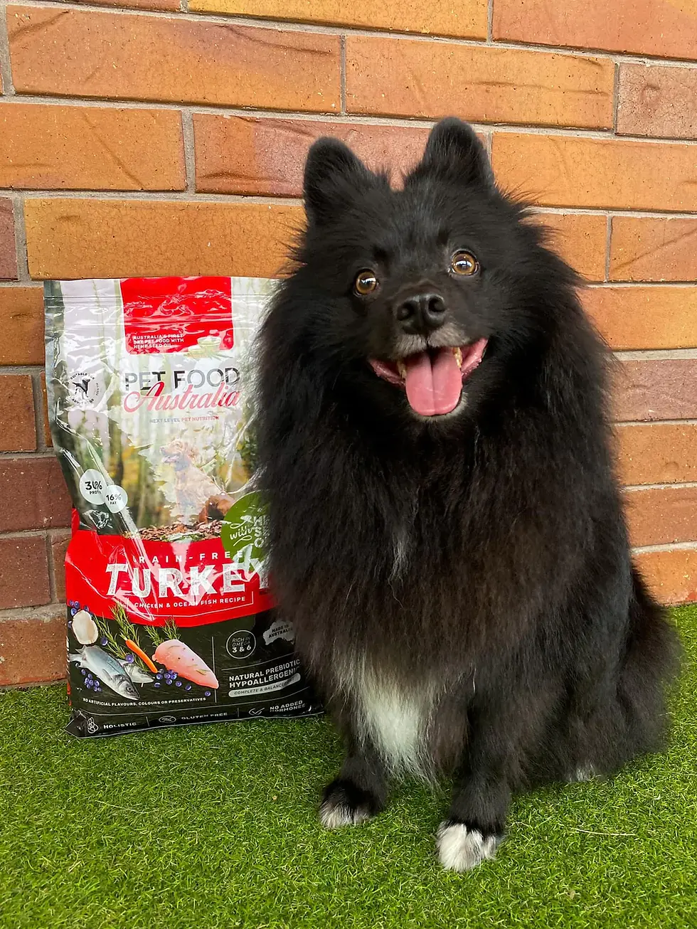 Thumbnail: Turkey & Lamb Dry Food