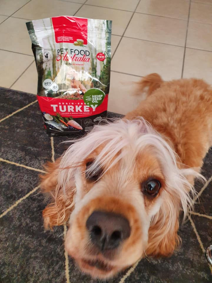 Thumbnail: Turkey & Lamb Dry Food