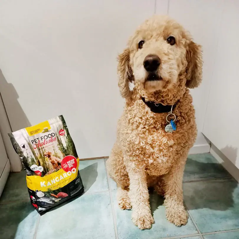 Thumbnail: Kangaroo & Ocean Fish Dry Food