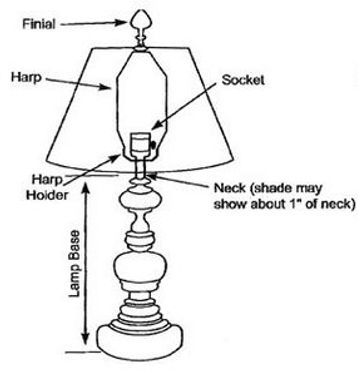 Lamp Anatomy.jpeg