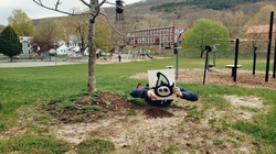 Studio Gnome Logo Comes To Life!