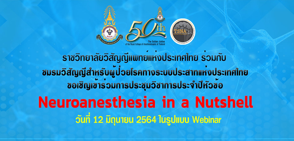 neuroinanutshell-1.jpeg