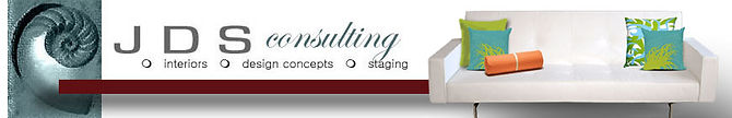 JDS Consulting Logo Banner