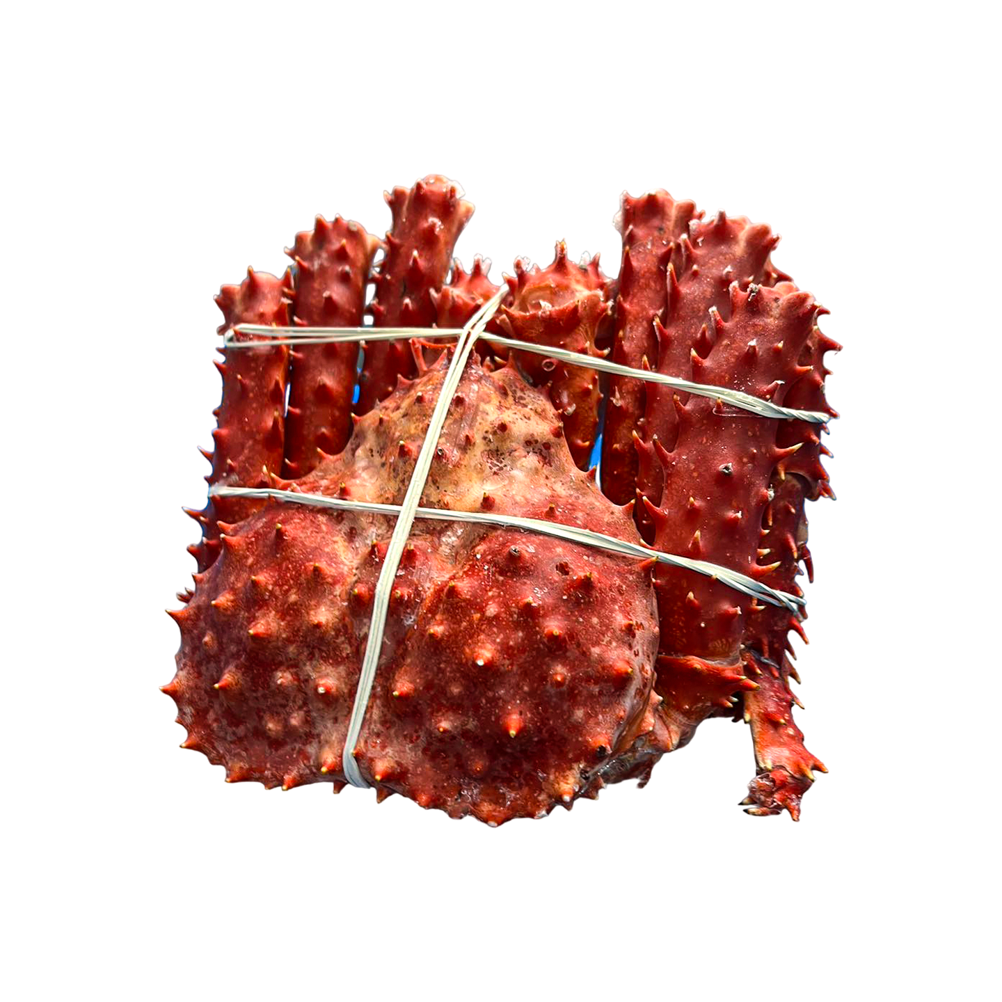 Chilean Kingcrab 20 lb (Whole)