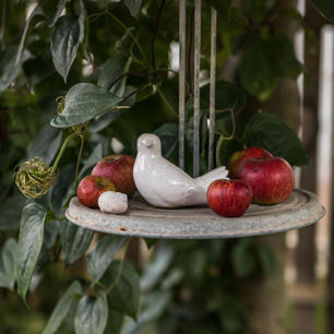 Herbstzauber (26 von 90).jpg