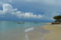 DSC_0799.JPG