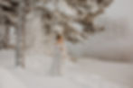 gravidfotograf-ostersund.jpg